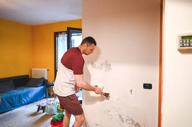 Best Residential Mold Removal  in , ND
